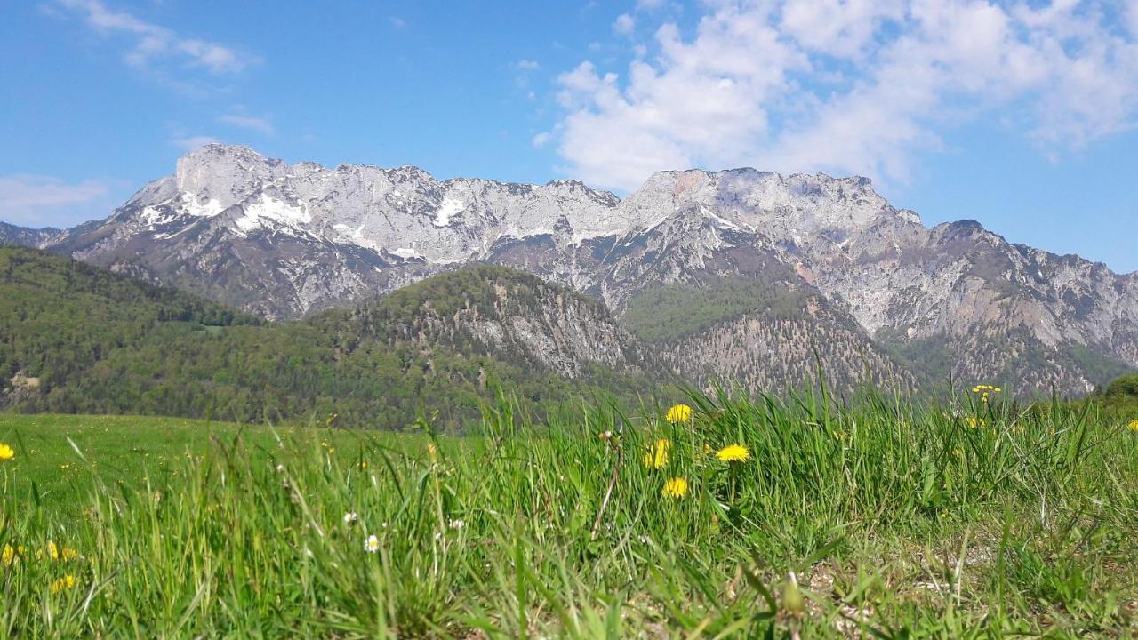 Ferienwohnungen Gaestehaus Laercheck Berchtesgaden Ngoại thất bức ảnh