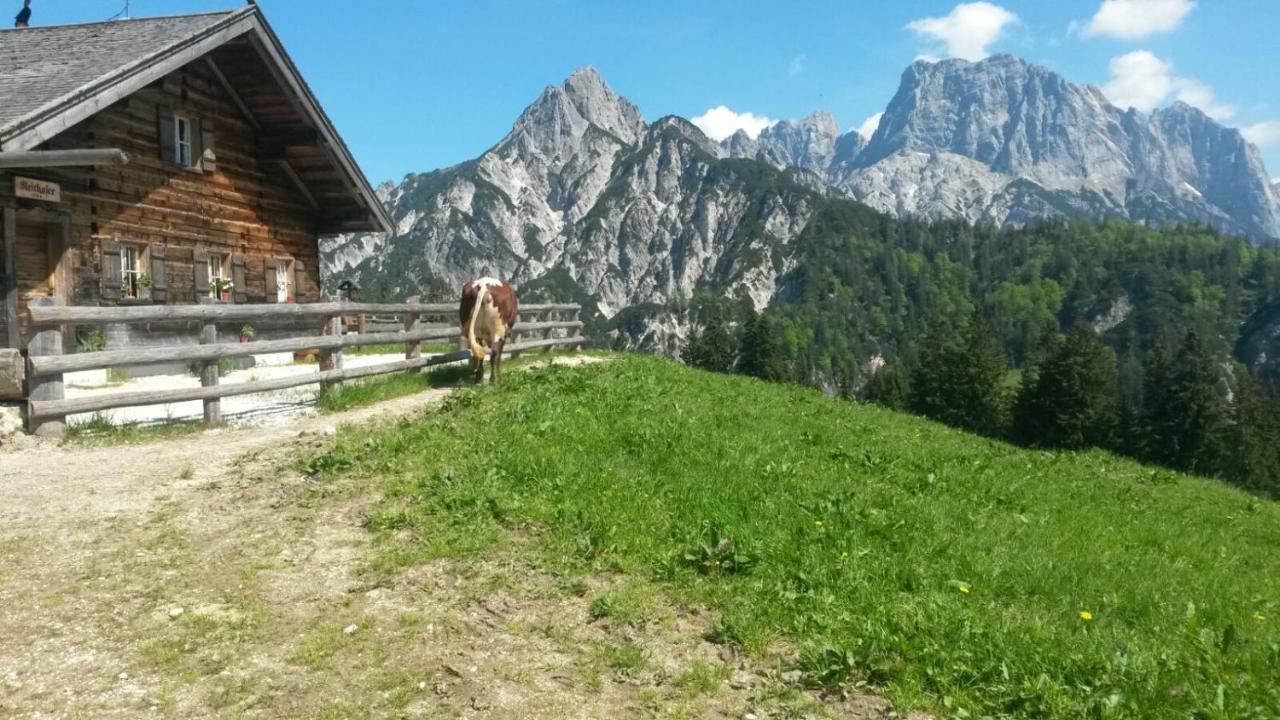 Ferienwohnungen Gaestehaus Laercheck Berchtesgaden Ngoại thất bức ảnh