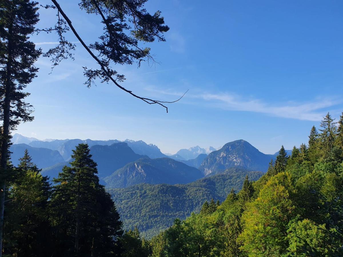 Ferienwohnungen Gaestehaus Laercheck Berchtesgaden Ngoại thất bức ảnh
