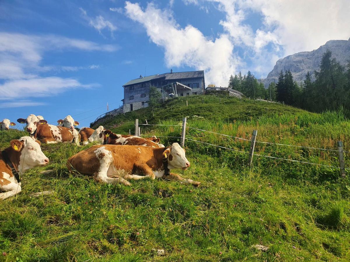 Ferienwohnungen Gaestehaus Laercheck Berchtesgaden Ngoại thất bức ảnh