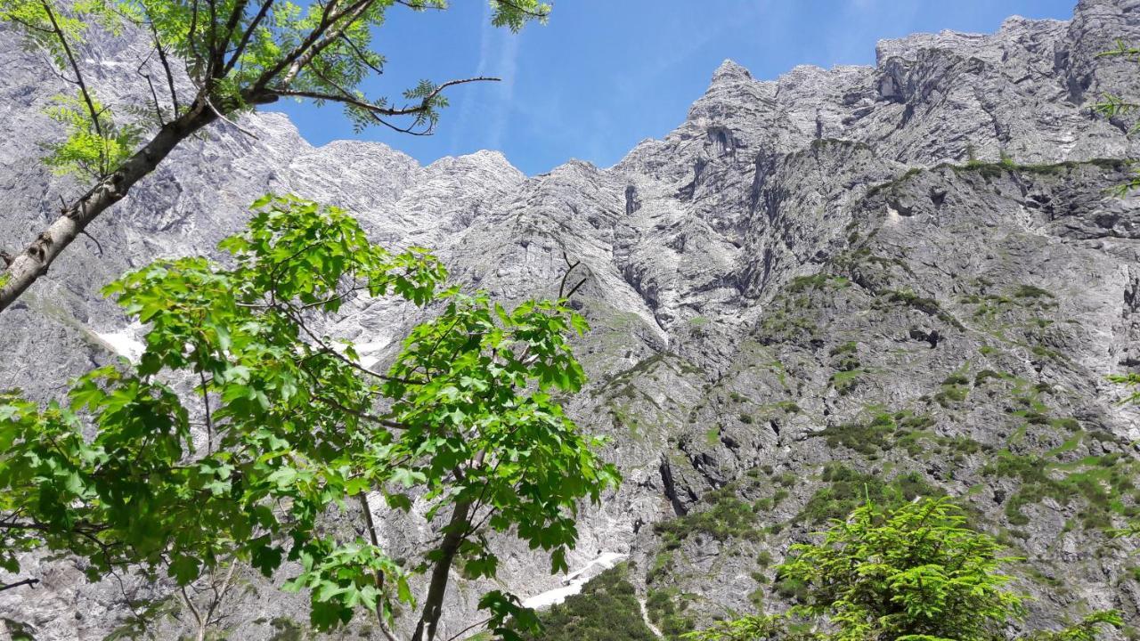 Ferienwohnungen Gaestehaus Laercheck Berchtesgaden Ngoại thất bức ảnh